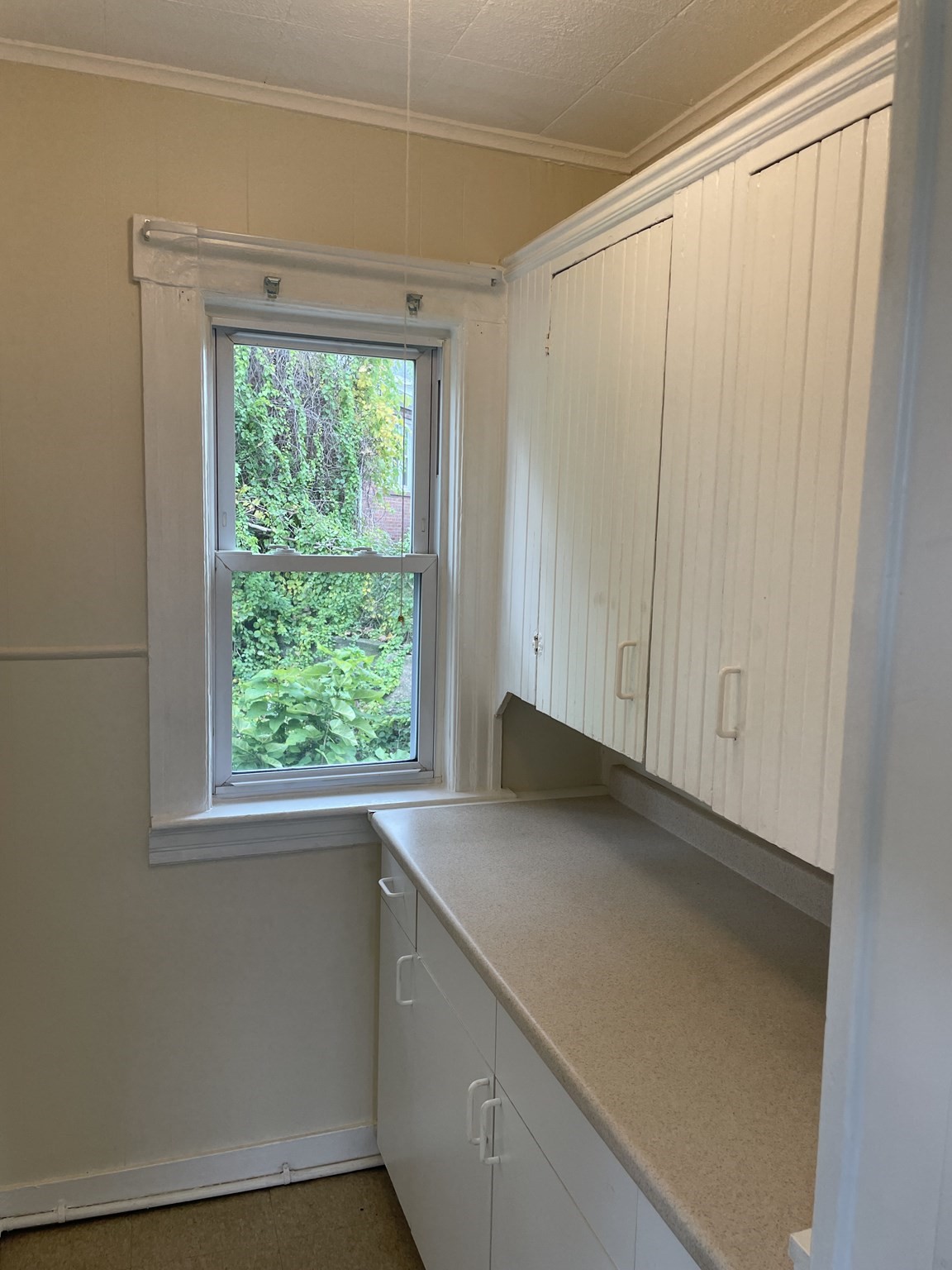 175 Grattan Property Photo 19