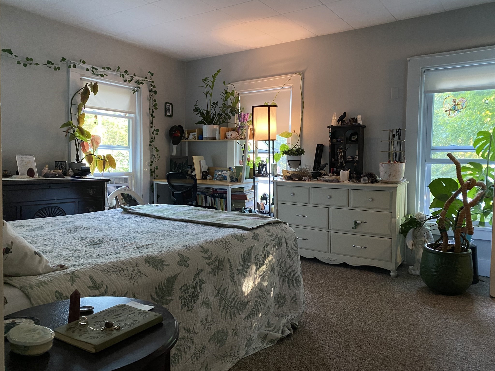 24 Esty St. Property Photo 20