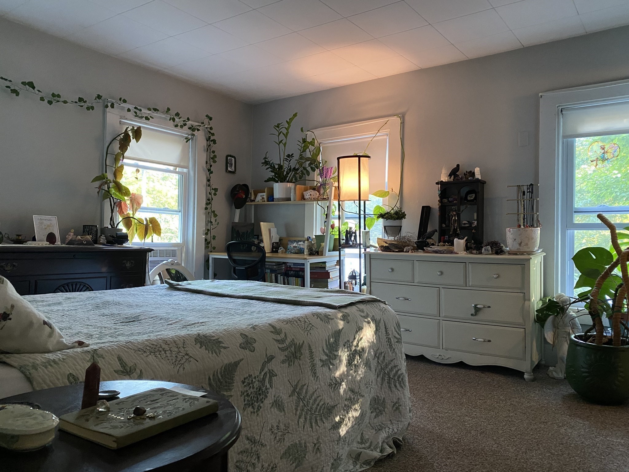 24 Esty St. Property Photo 21