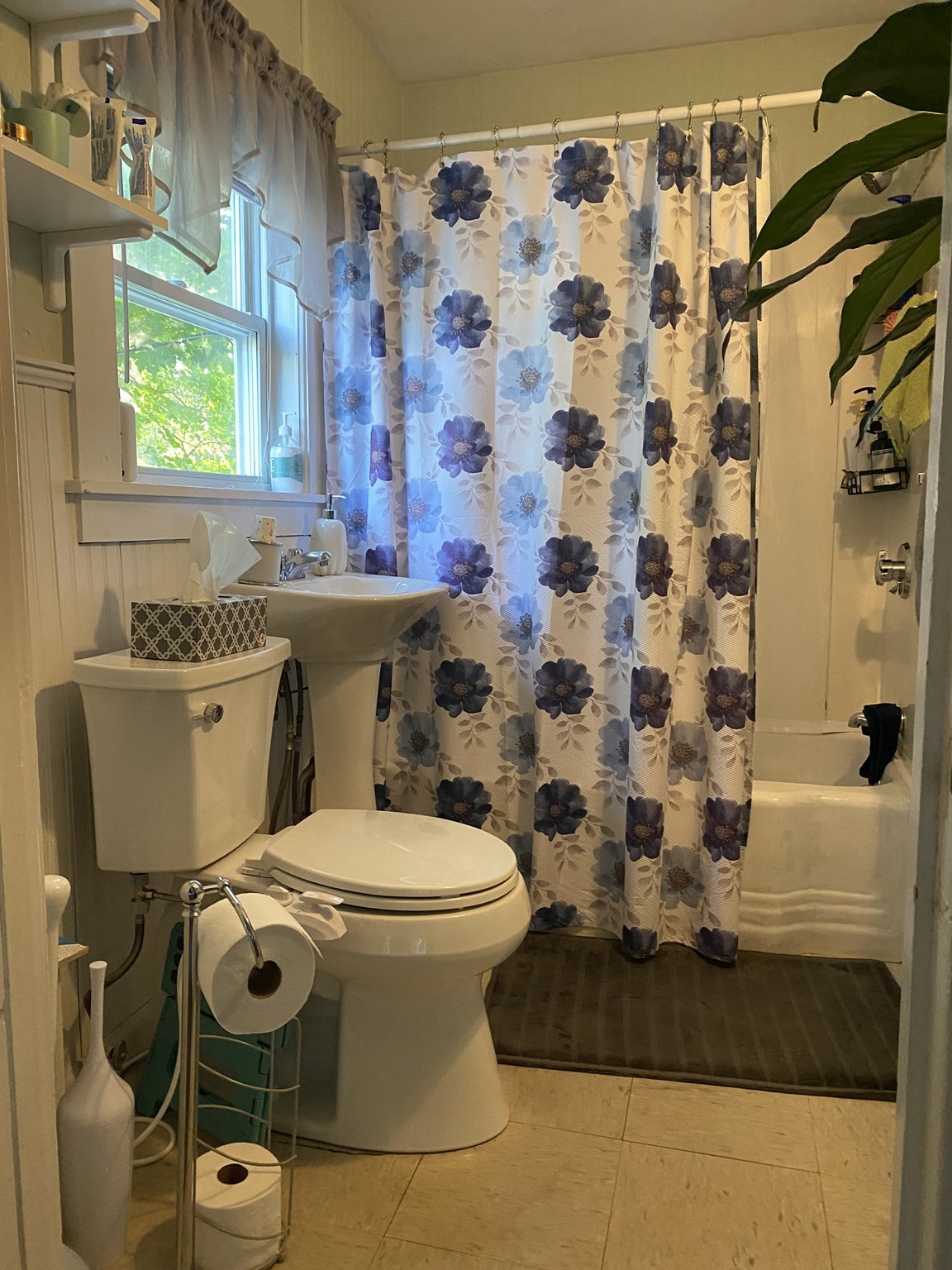 24 Esty St. Property Photo 23