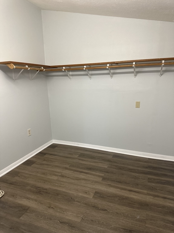 466 Newberry # 3 Property Photo 18
