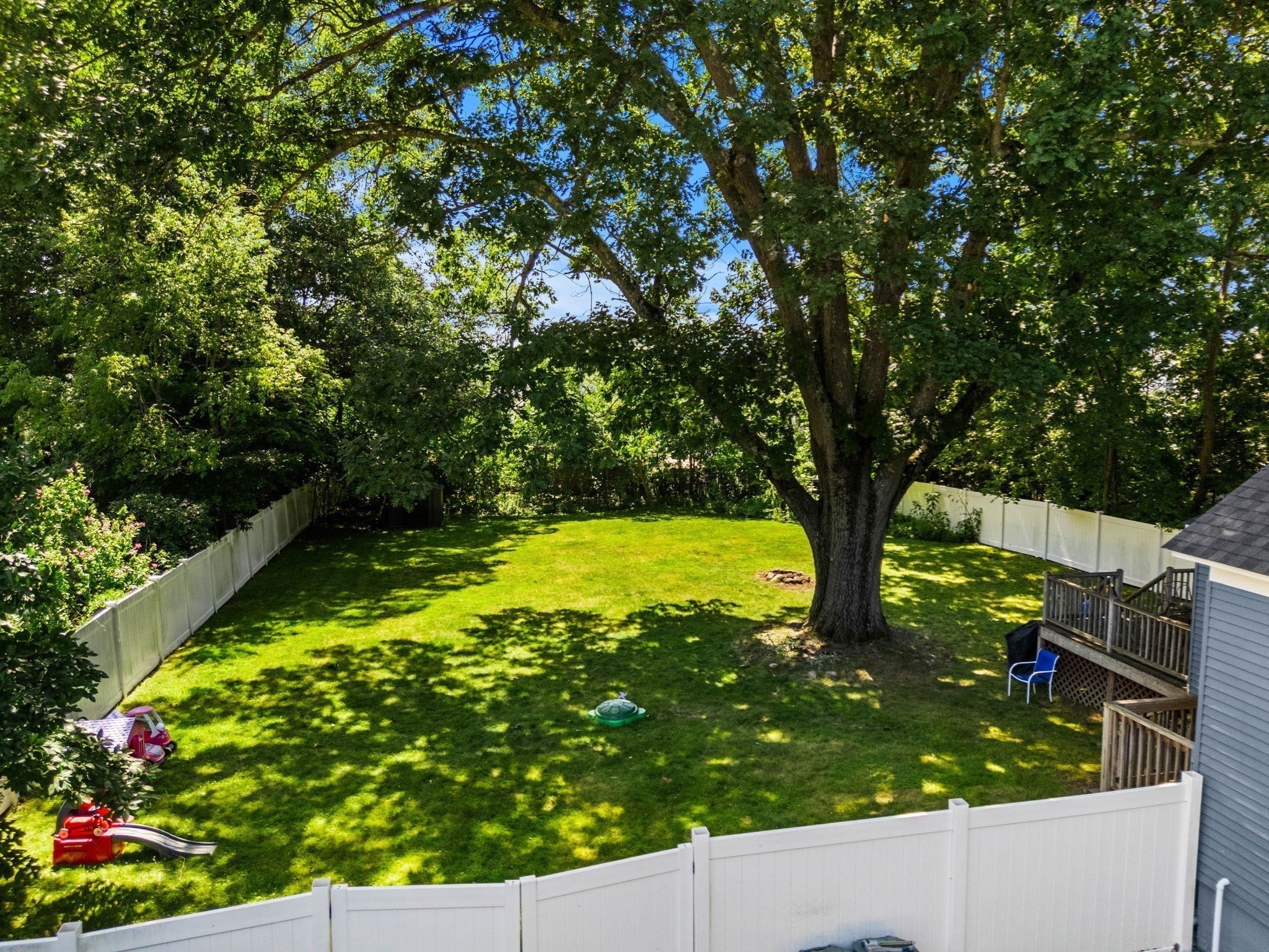 62 Tennyson Street Property Photo 21
