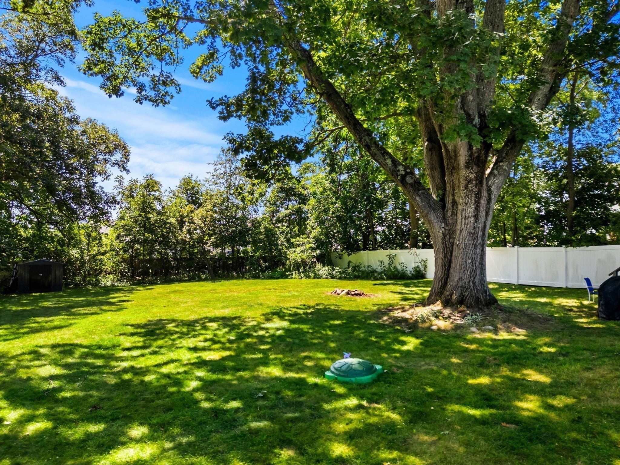 62 Tennyson Street Property Photo 22