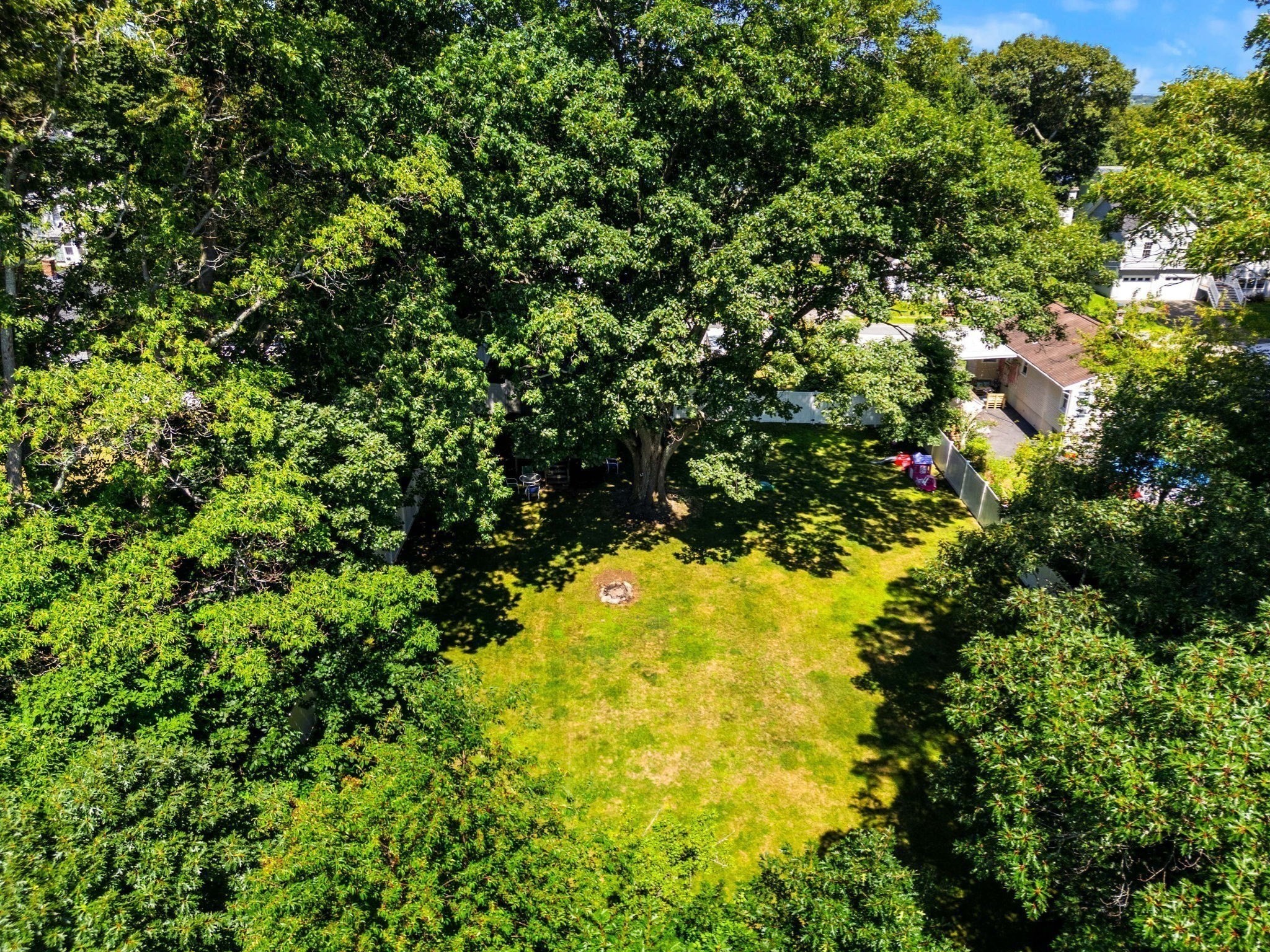 62 Tennyson Street Property Photo 24
