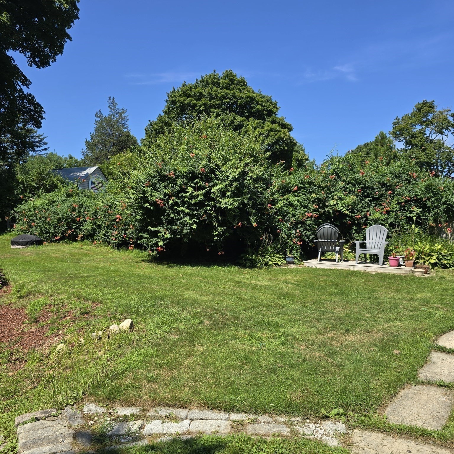 43 Mayflower St Property Photo 3