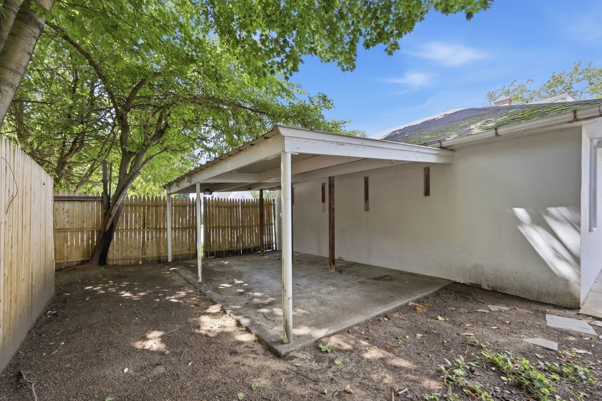 22 Dartmouth St Property Photo 36