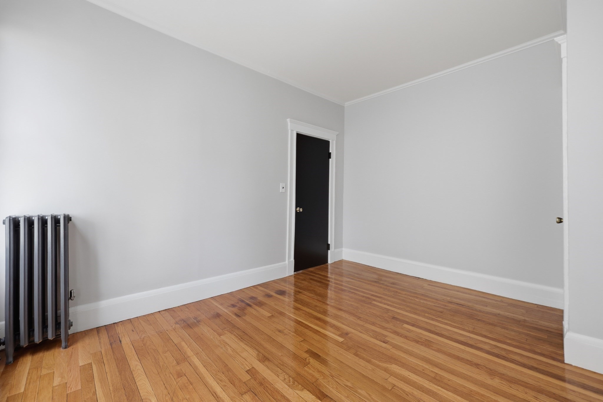 71 Harwood St Property Photo 24