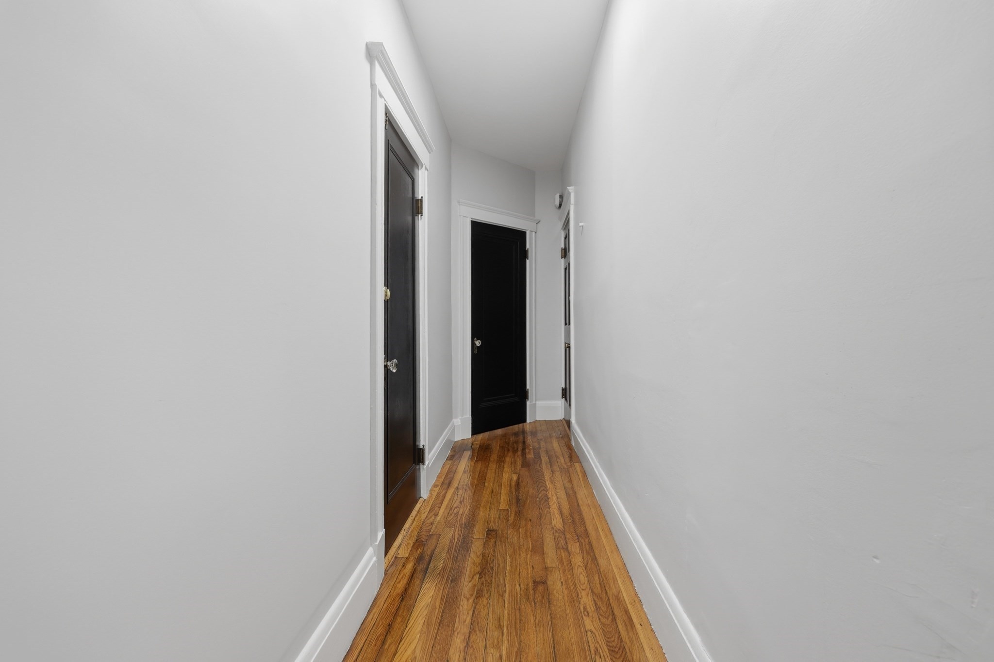 71 Harwood St Property Photo 27
