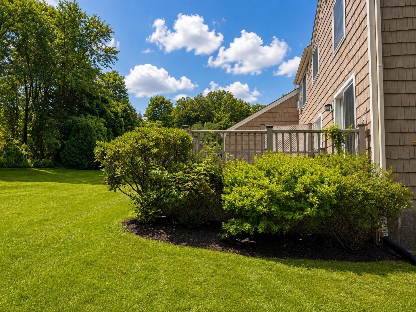 62 Laurel St # B Property Photo 3