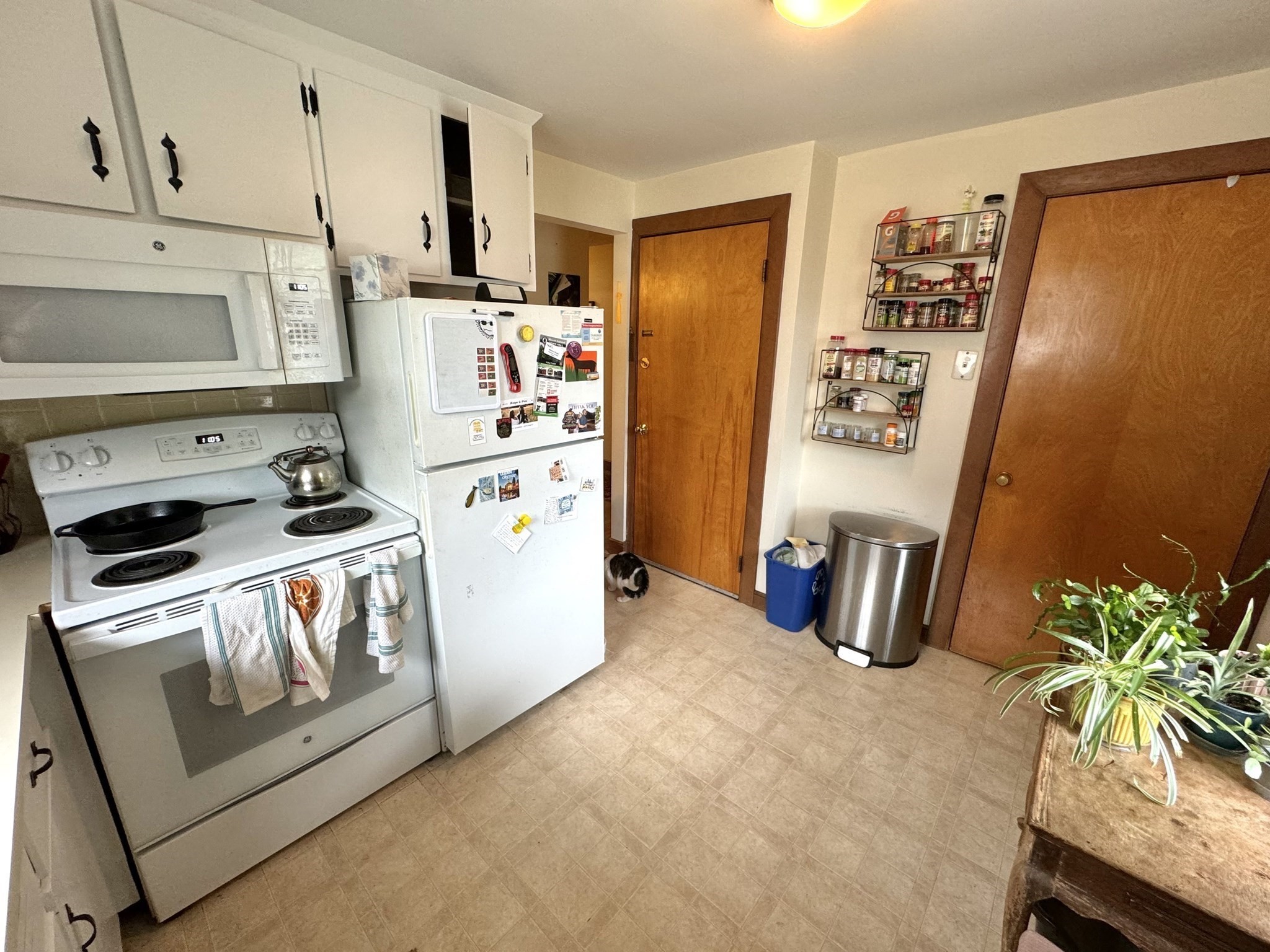 56 Nathan Rd # 1 Property Photo 10