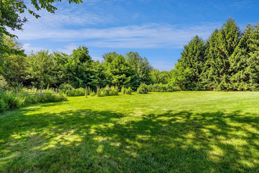 5 Locust Grove Property Photo 35