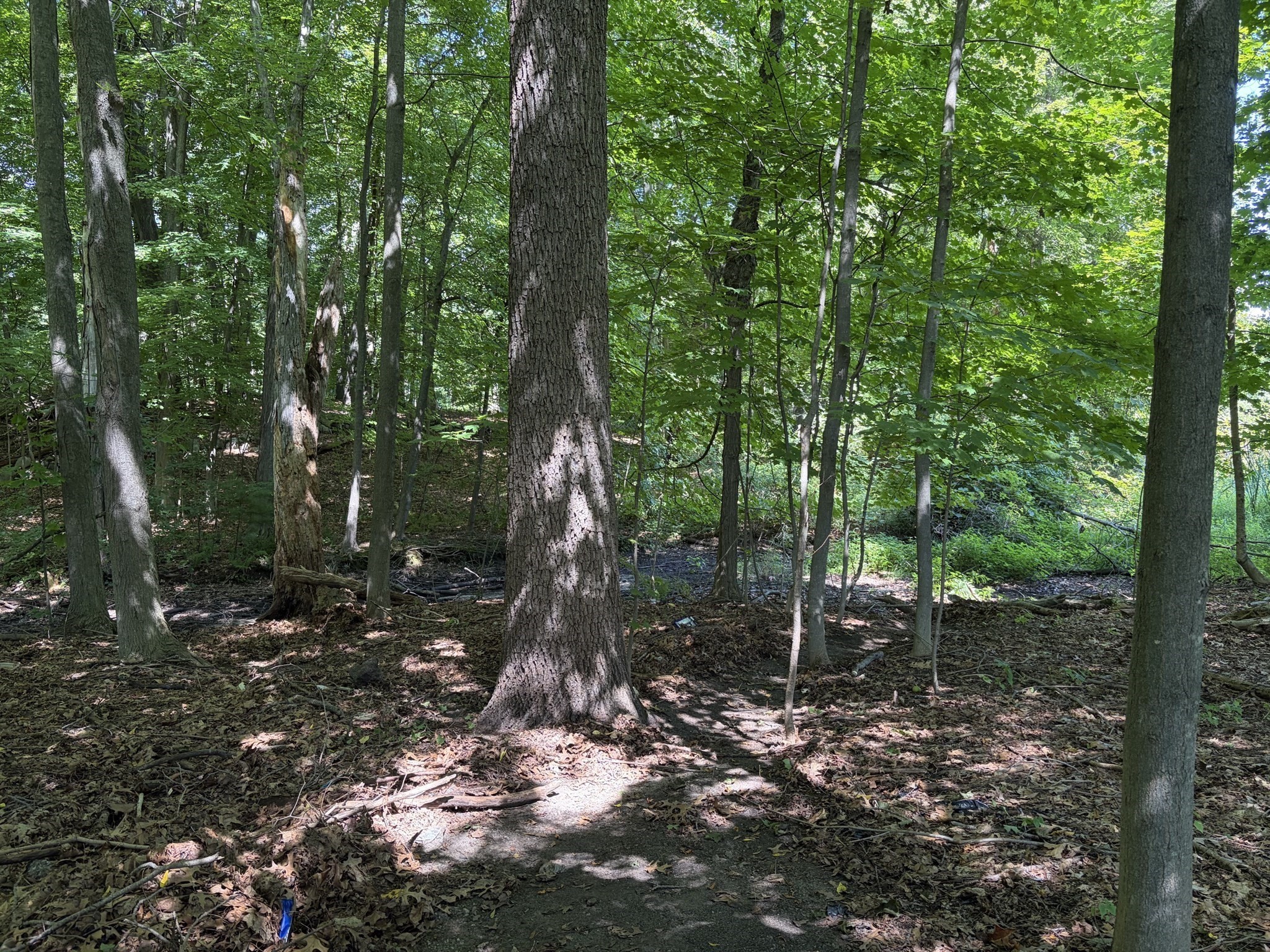 15 Myrna Rd Property Photo 4