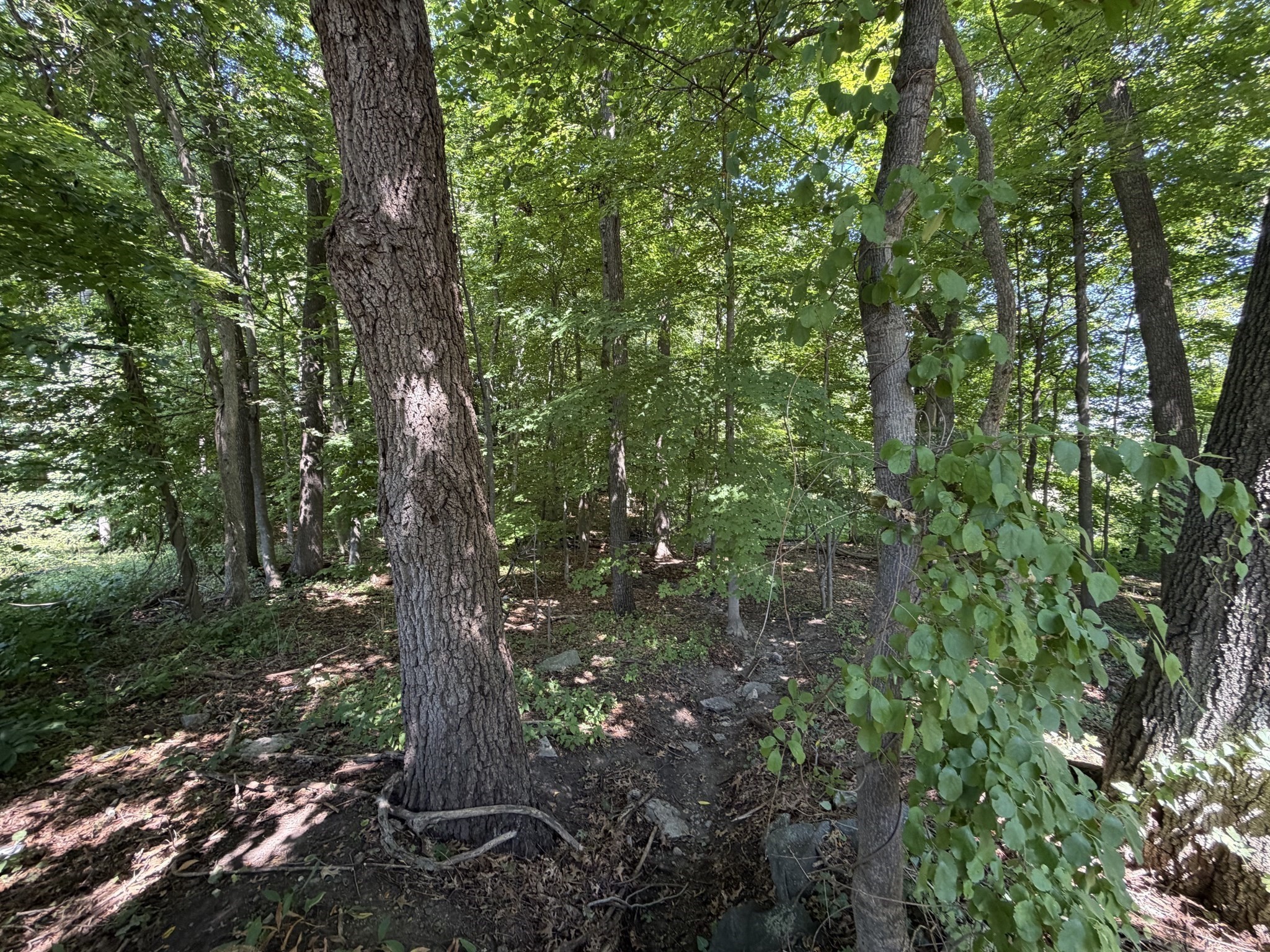 15 Myrna Rd Property Photo 5