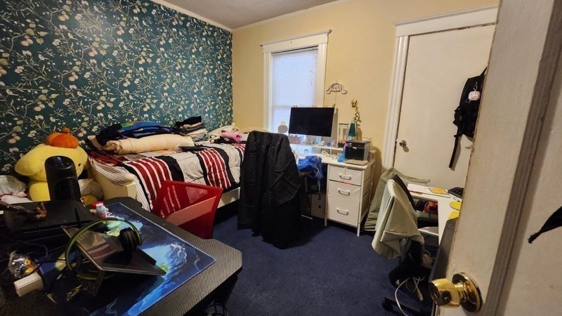 23 Parkdale St Property Photo 9