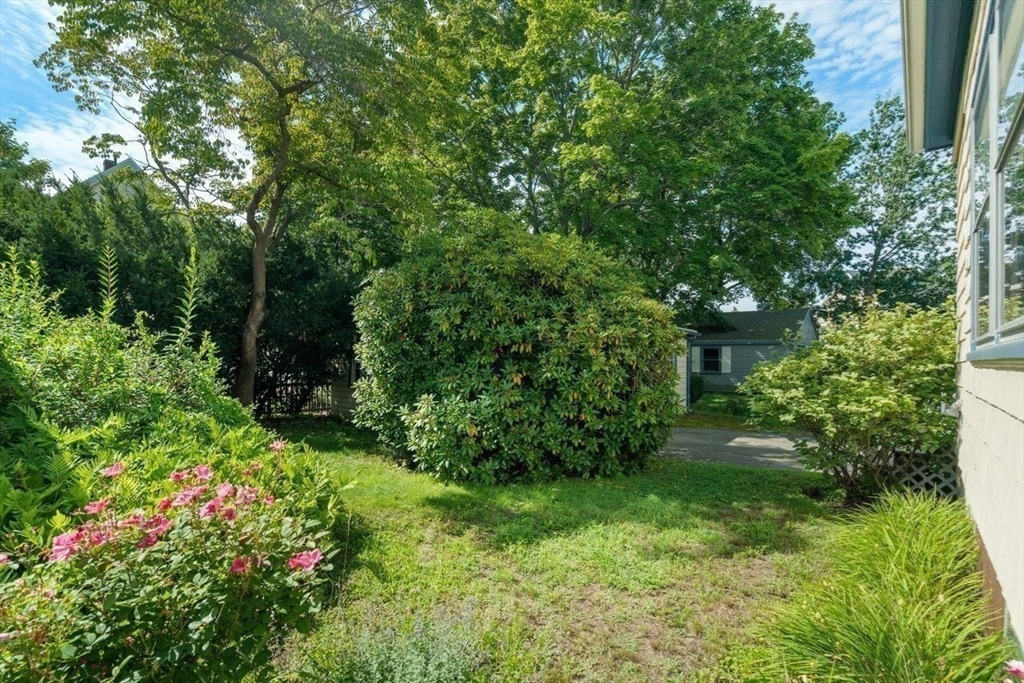 11 Hampden Street Property Photo 29