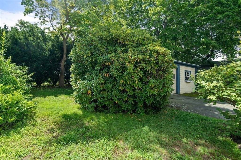11 Hampden Street Property Photo 31