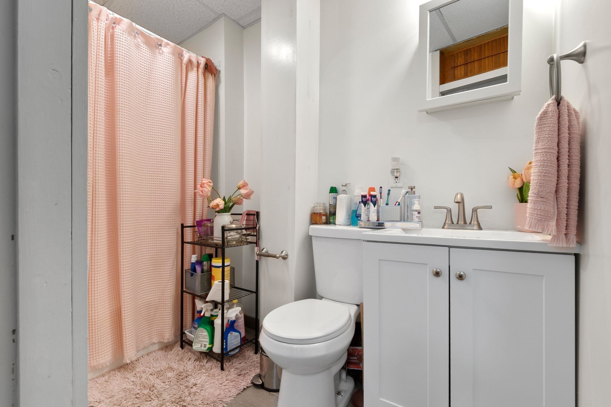 20 Shepherd St Property Photo 33