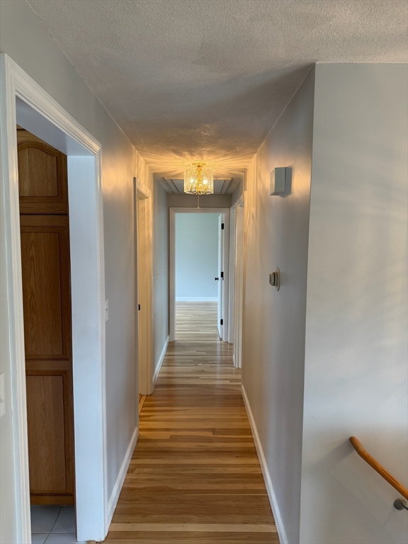 6 Canterbury Rd Property Photo 25