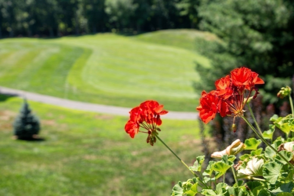 208 Country Club Way Property Photo 8