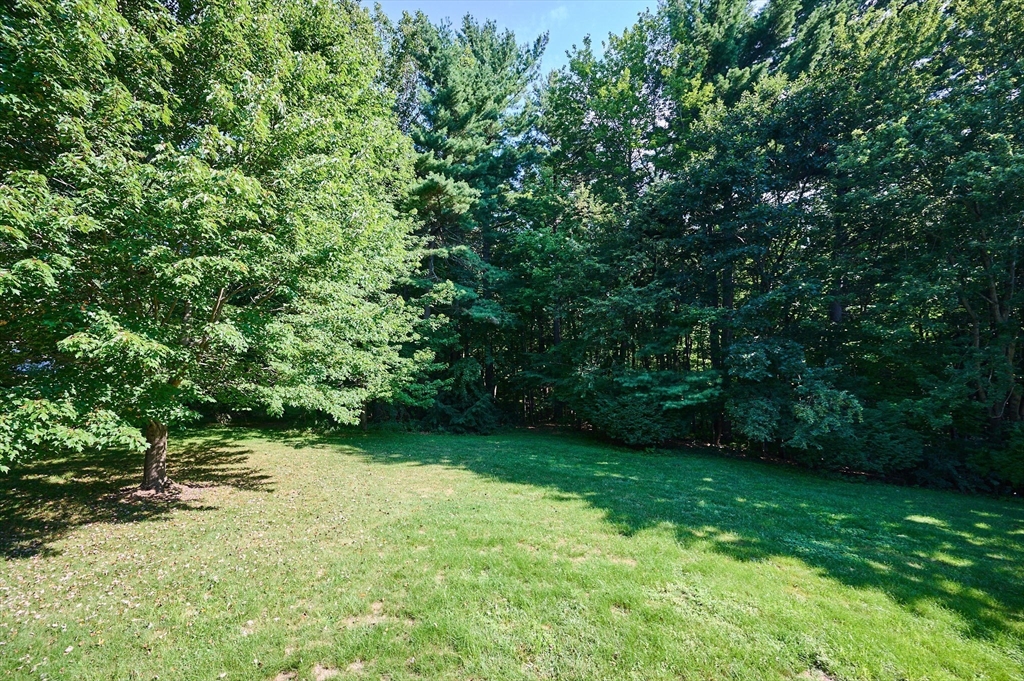 22 Gunn Rd Ext Property Photo 27