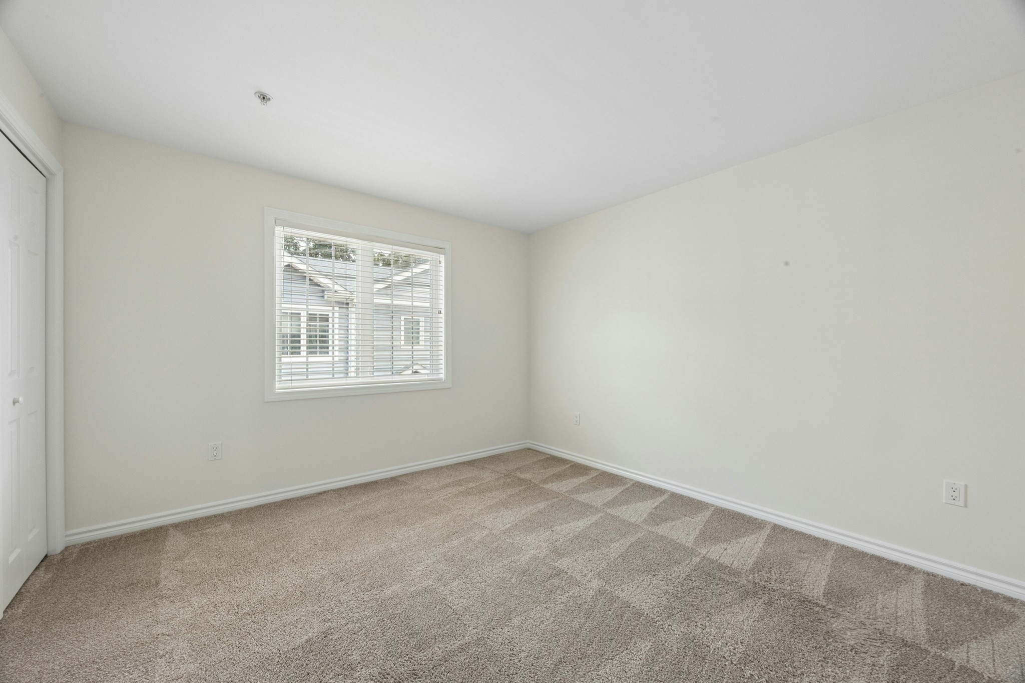40 Myrtle Street # 3 Property Photo 19