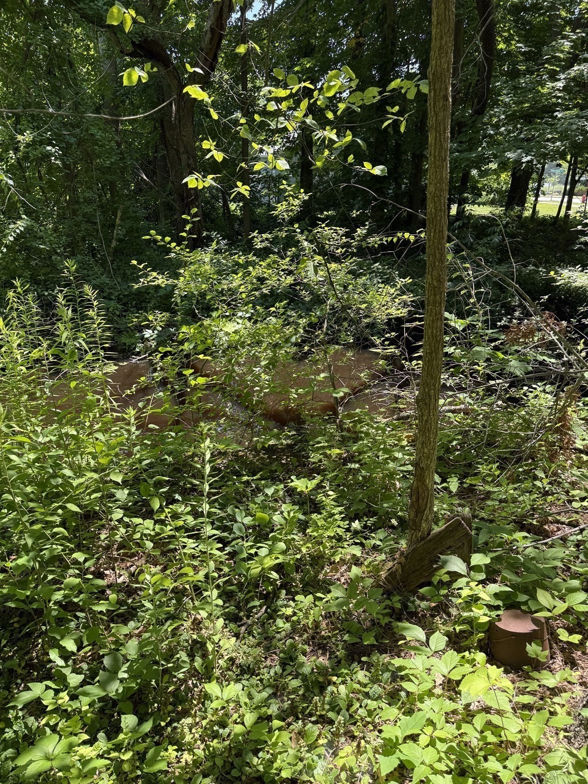 78 East Main St Property Photo 7