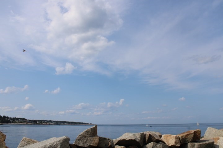 56 Bearskin Neck Property Photo 9