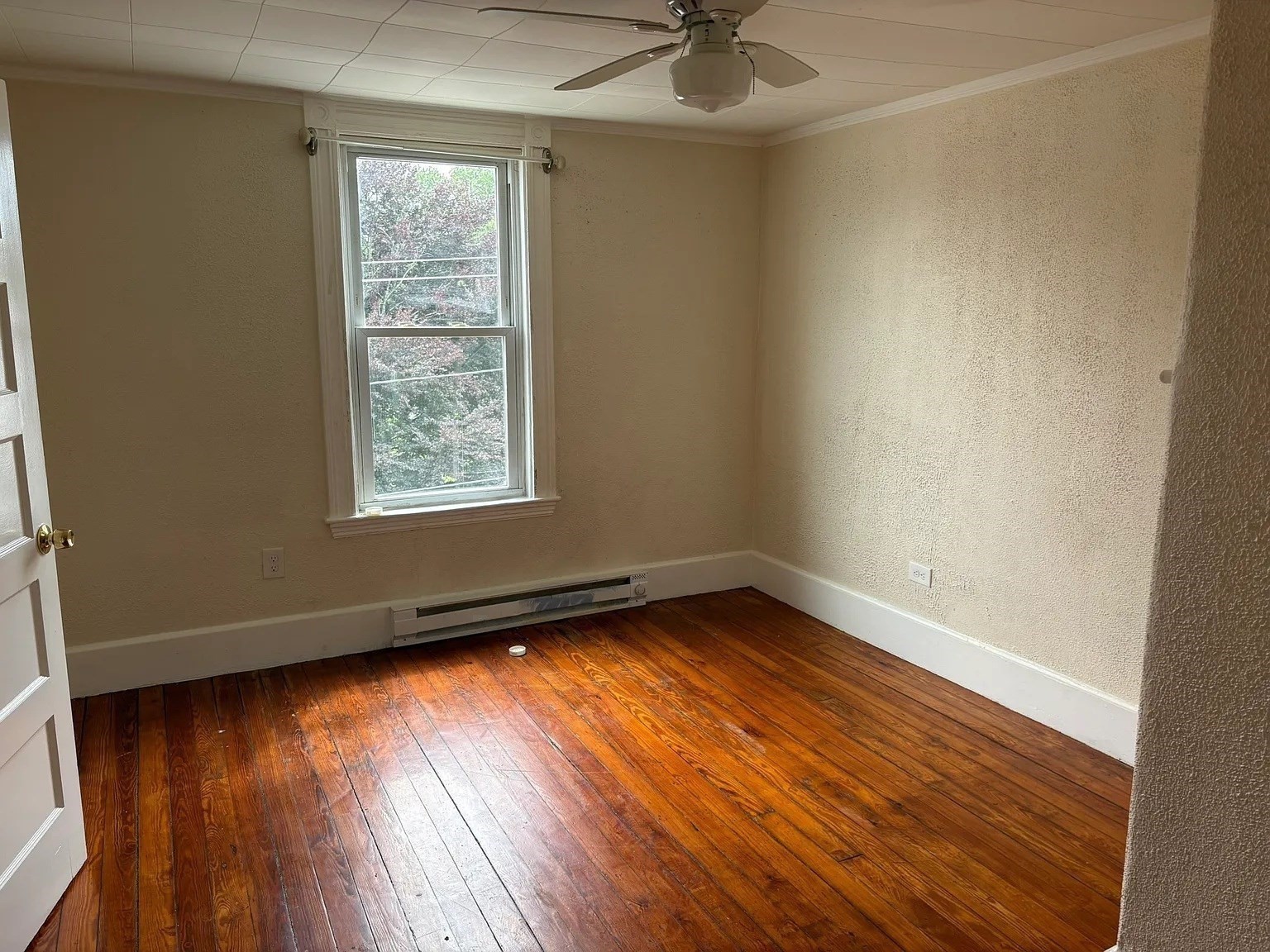 633 River Street # A Property Photo 11