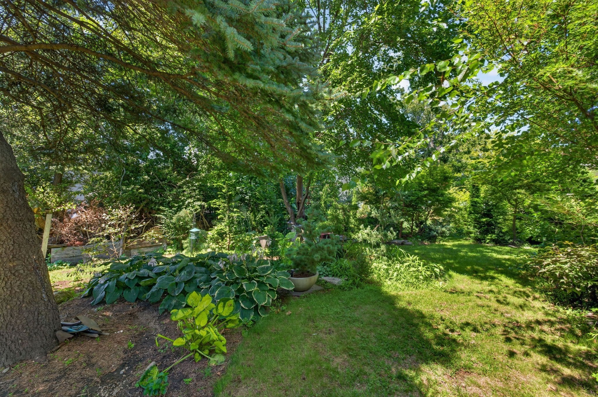 55 Irving St Property Photo 24