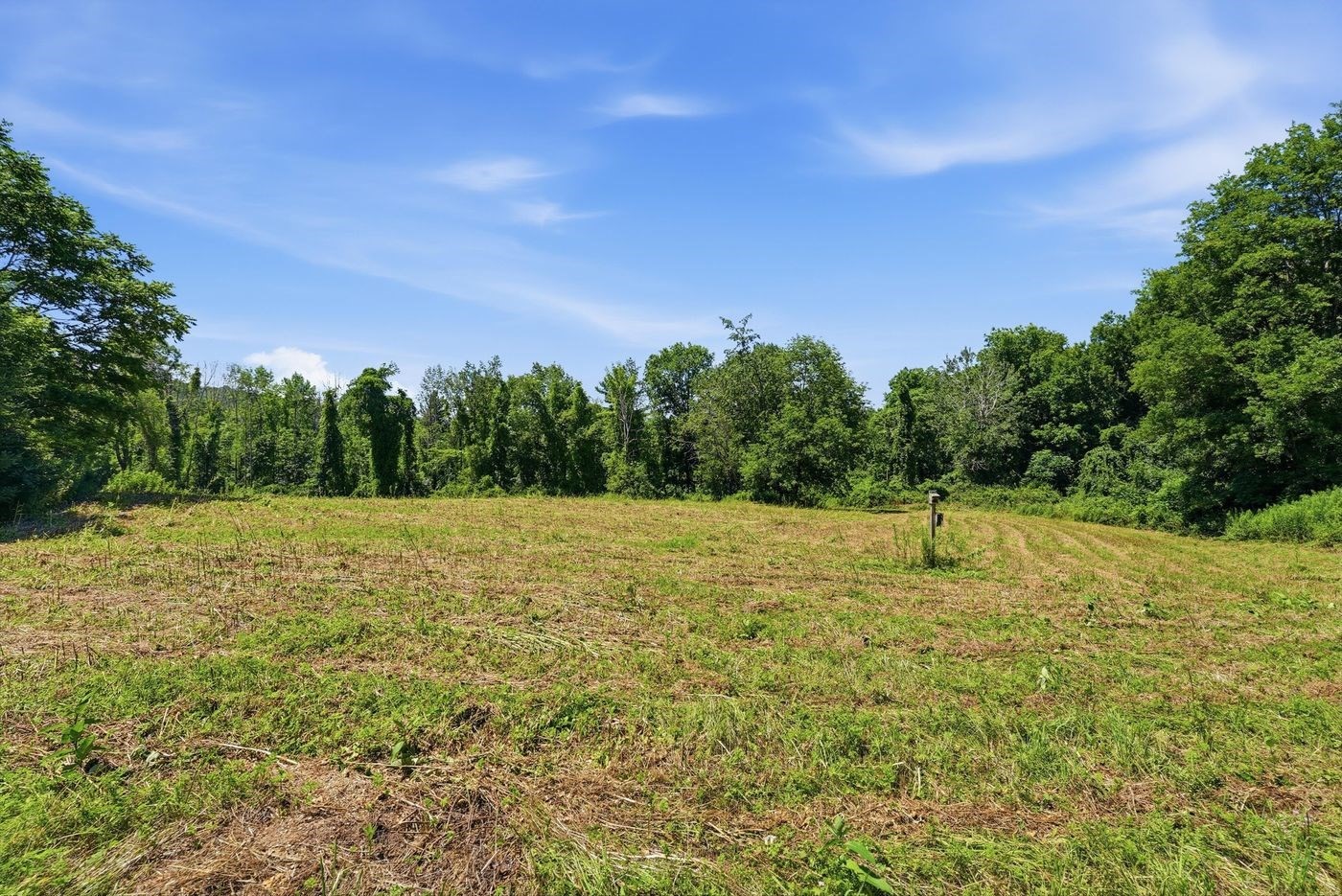 206 Stevens Glen Rd Property Photo 8