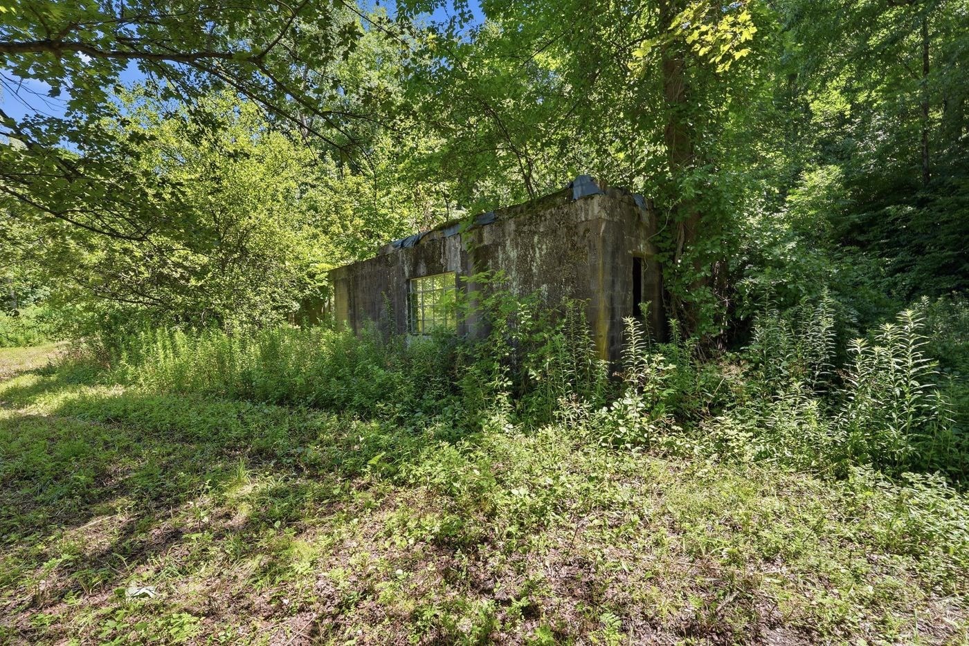 206 Stevens Glen Rd Property Photo 10