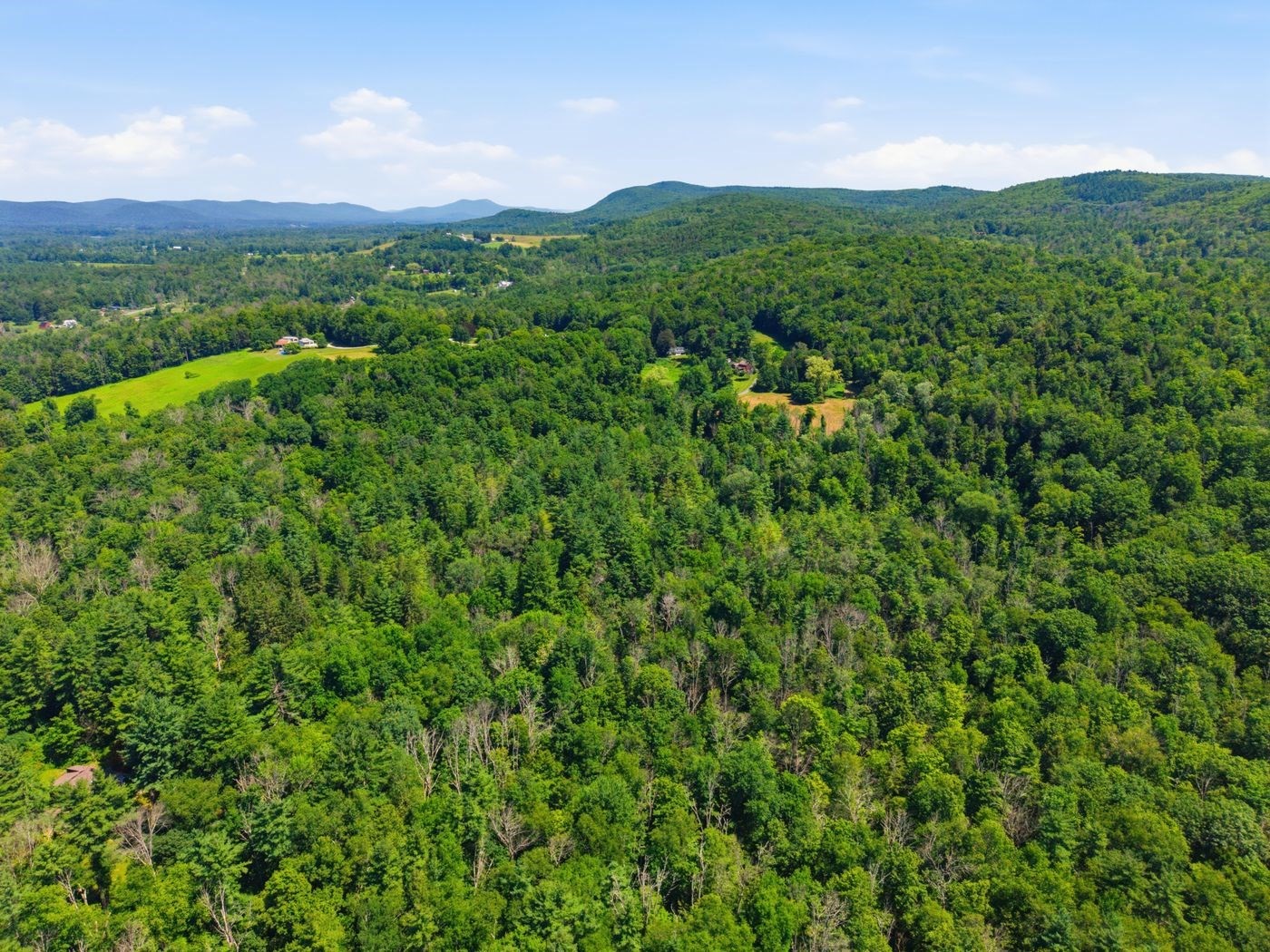 206 Stevens Glen Rd Property Photo 13