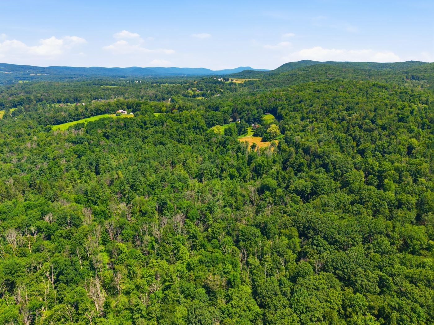 206 Stevens Glen Rd Property Photo 15