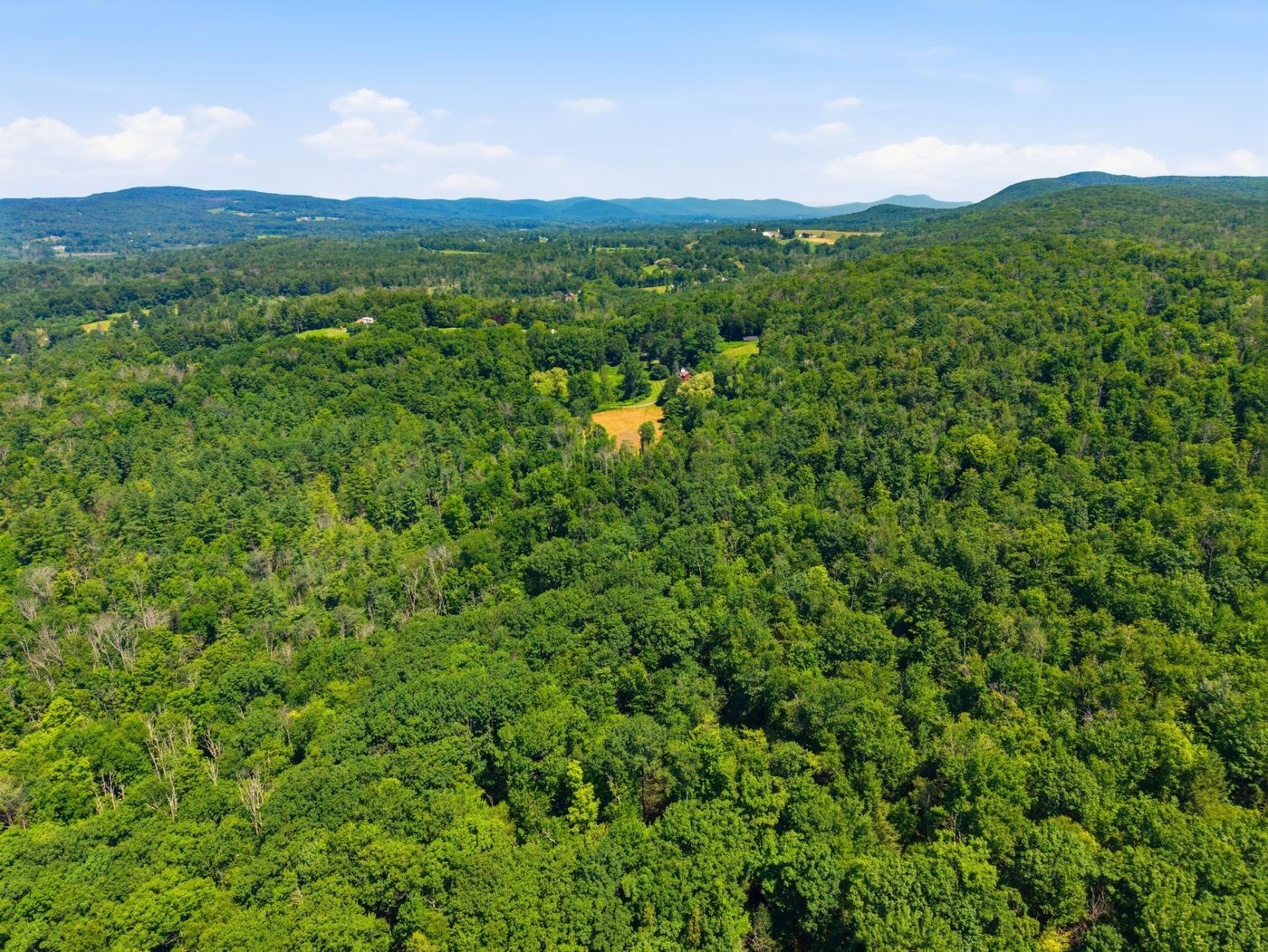 206 Stevens Glen Rd Property Photo 16