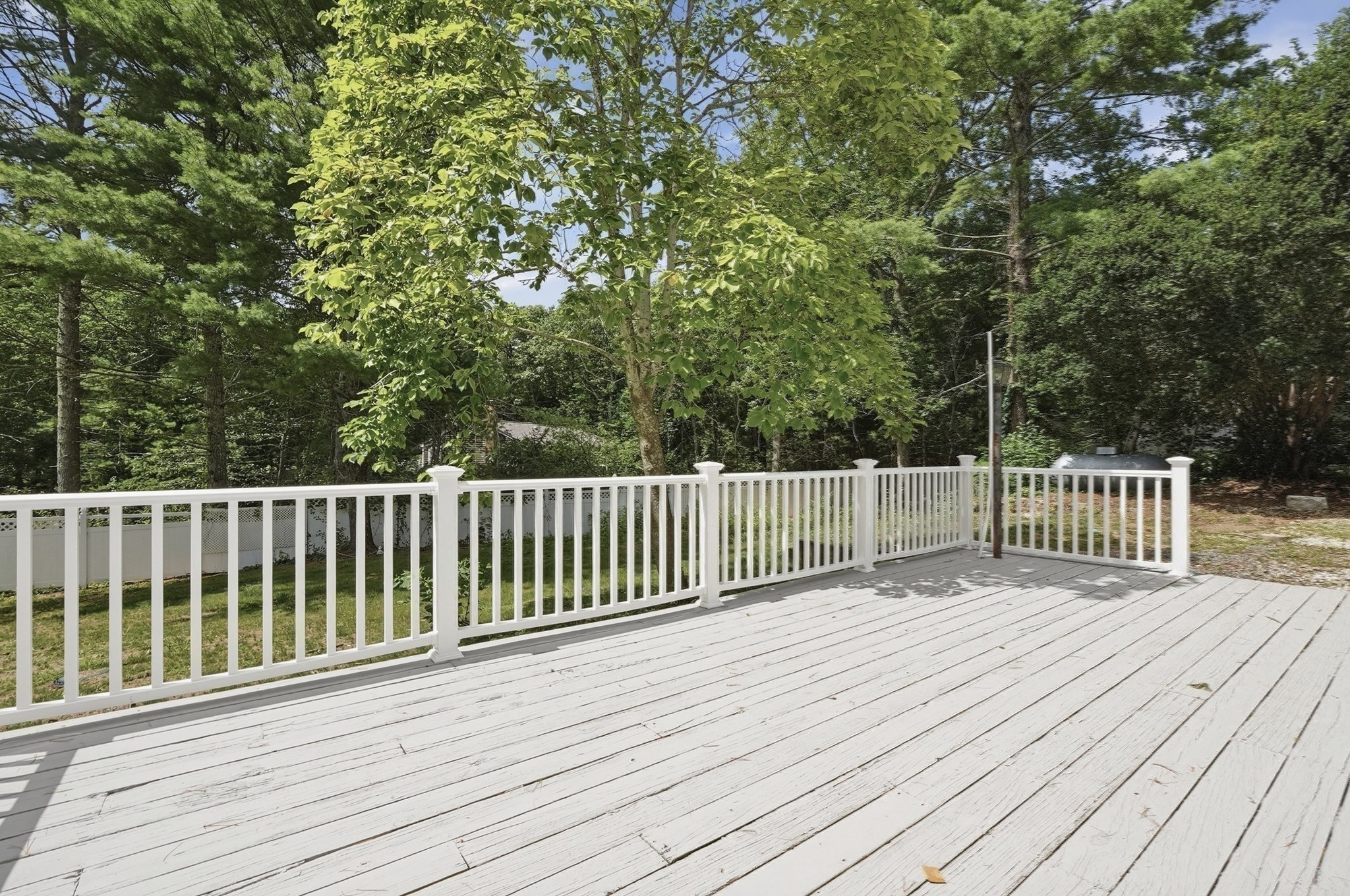 223 Clark Rd Property Photo 28