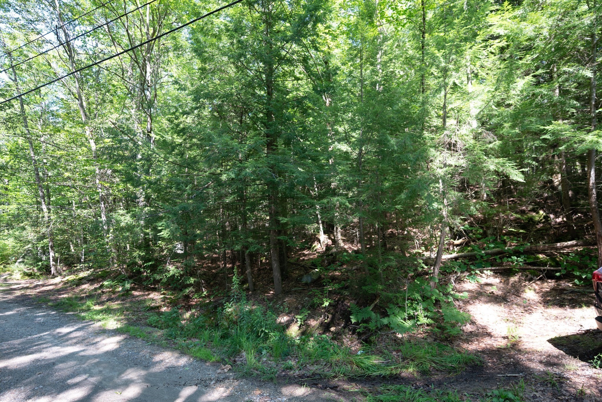 64 Lake Haven Lane Property Photo 20