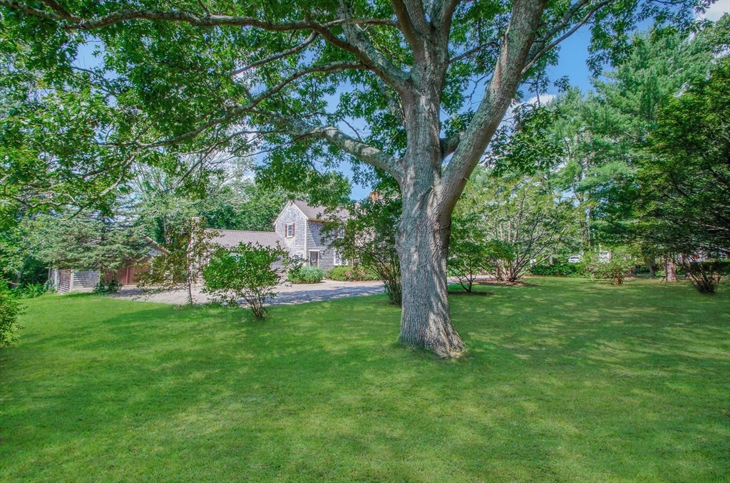 65 Acushnet Rd Property Photo 27