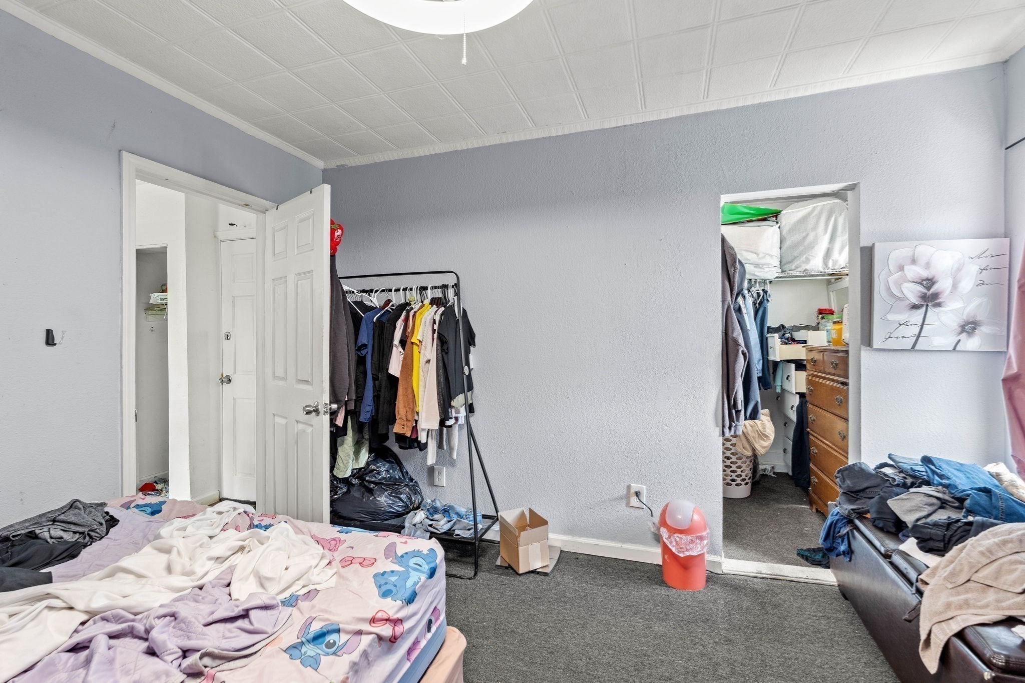 42 Albion Street Property Photo 19