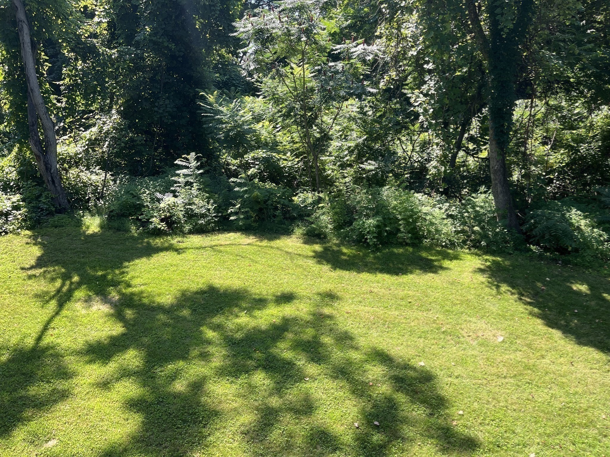 41 Iroquois Street Property Photo 30