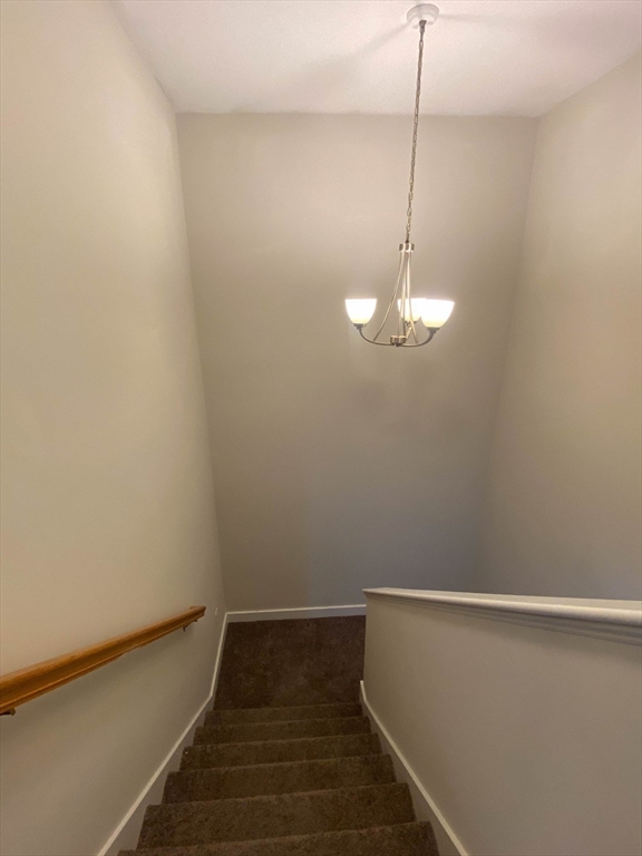 6 Carter Street Property Photo 19