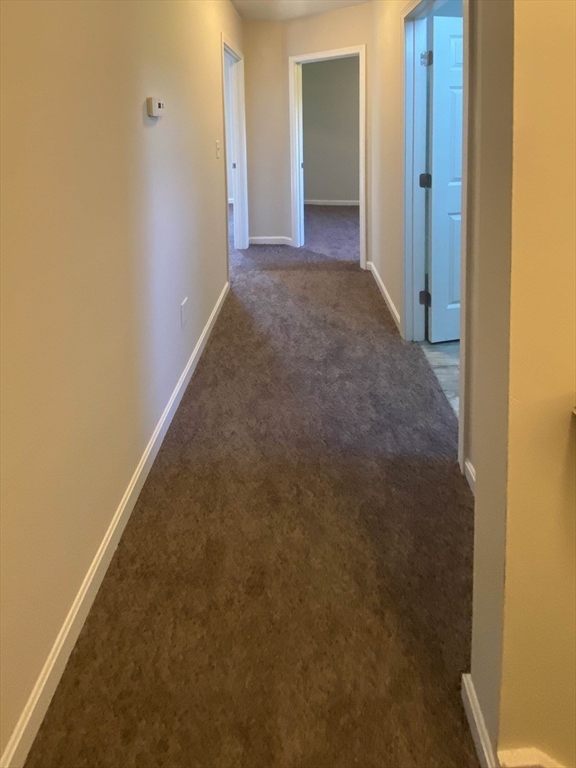 6 Carter Street Property Photo 23