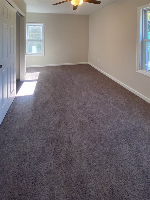 6 Carter Street Property Photo 29