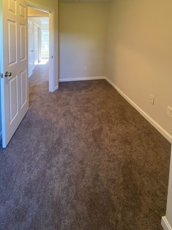 6 Carter Street Property Photo 29