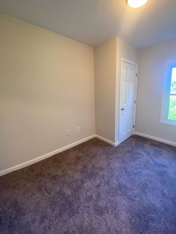 6 Carter Street Property Photo 31
