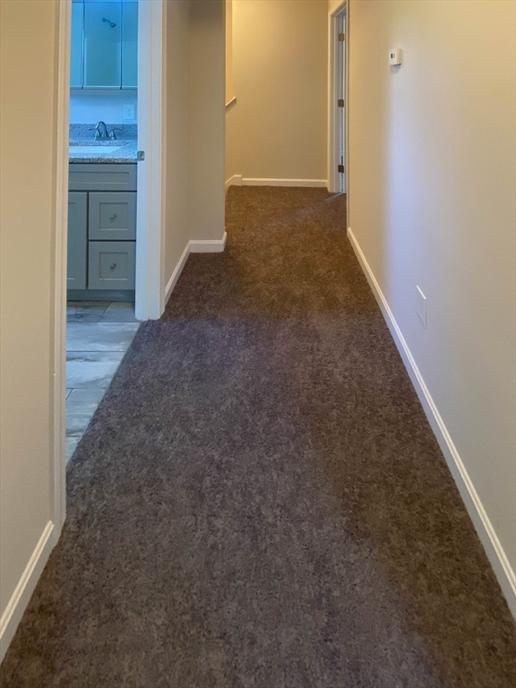 6 Carter Street Property Photo 33