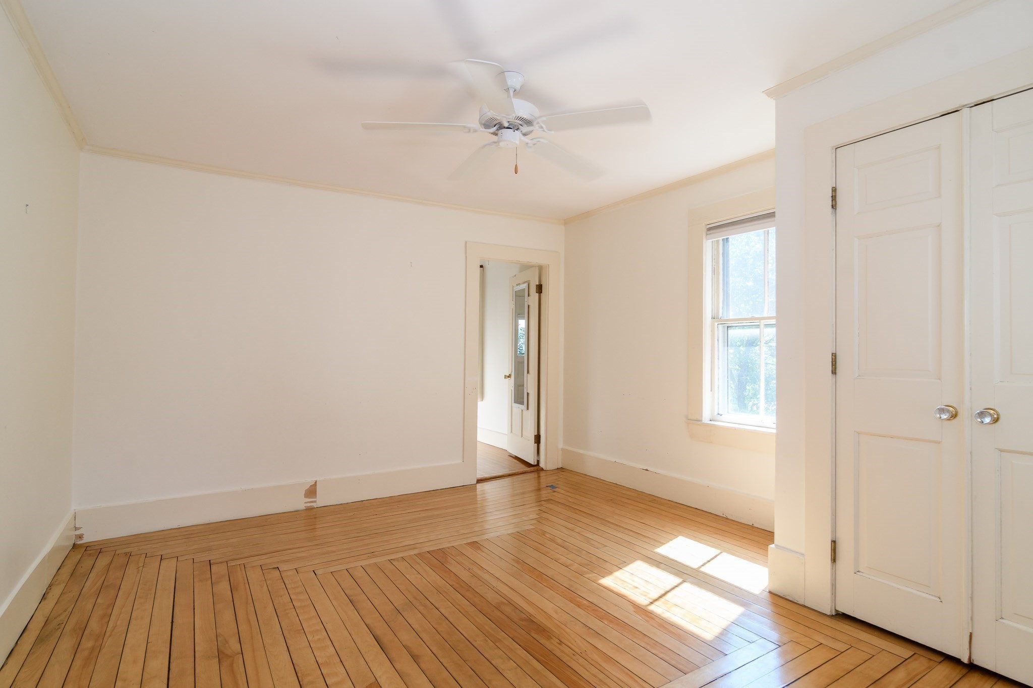 29 Cottage Street Property Photo 13