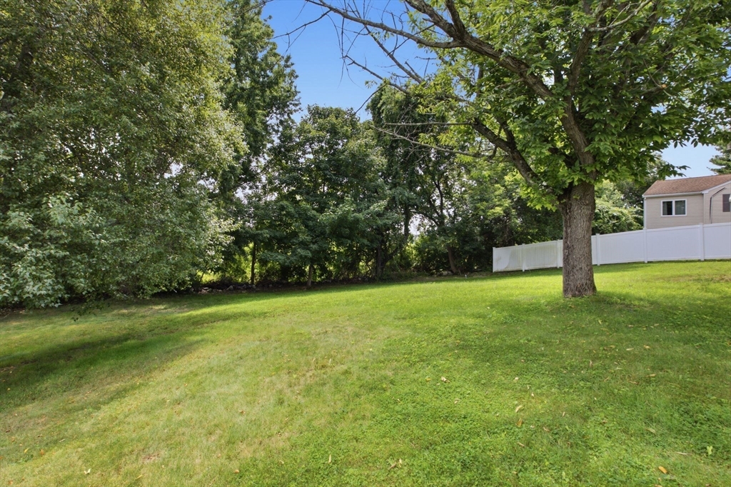 6 Locke Road Property Photo 37