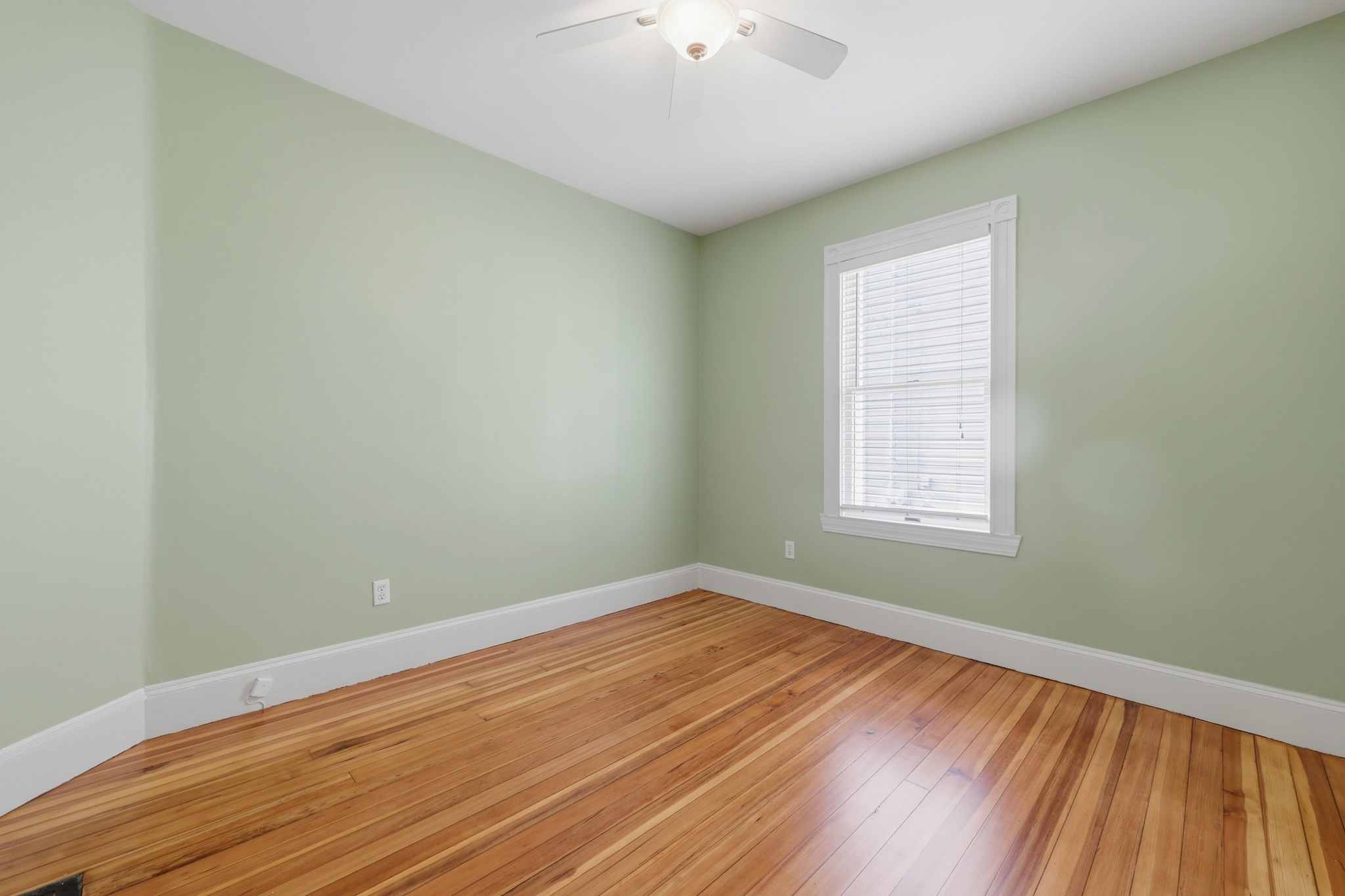 18-20 Endicott Street Property Photo 32