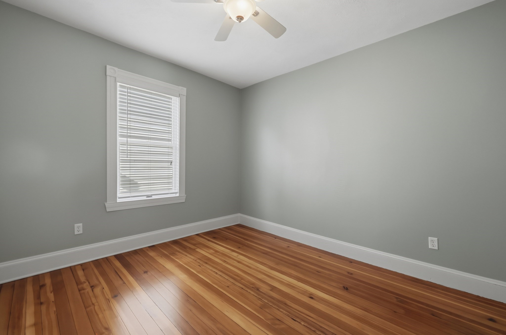 18-20 Endicott Street Property Photo 39