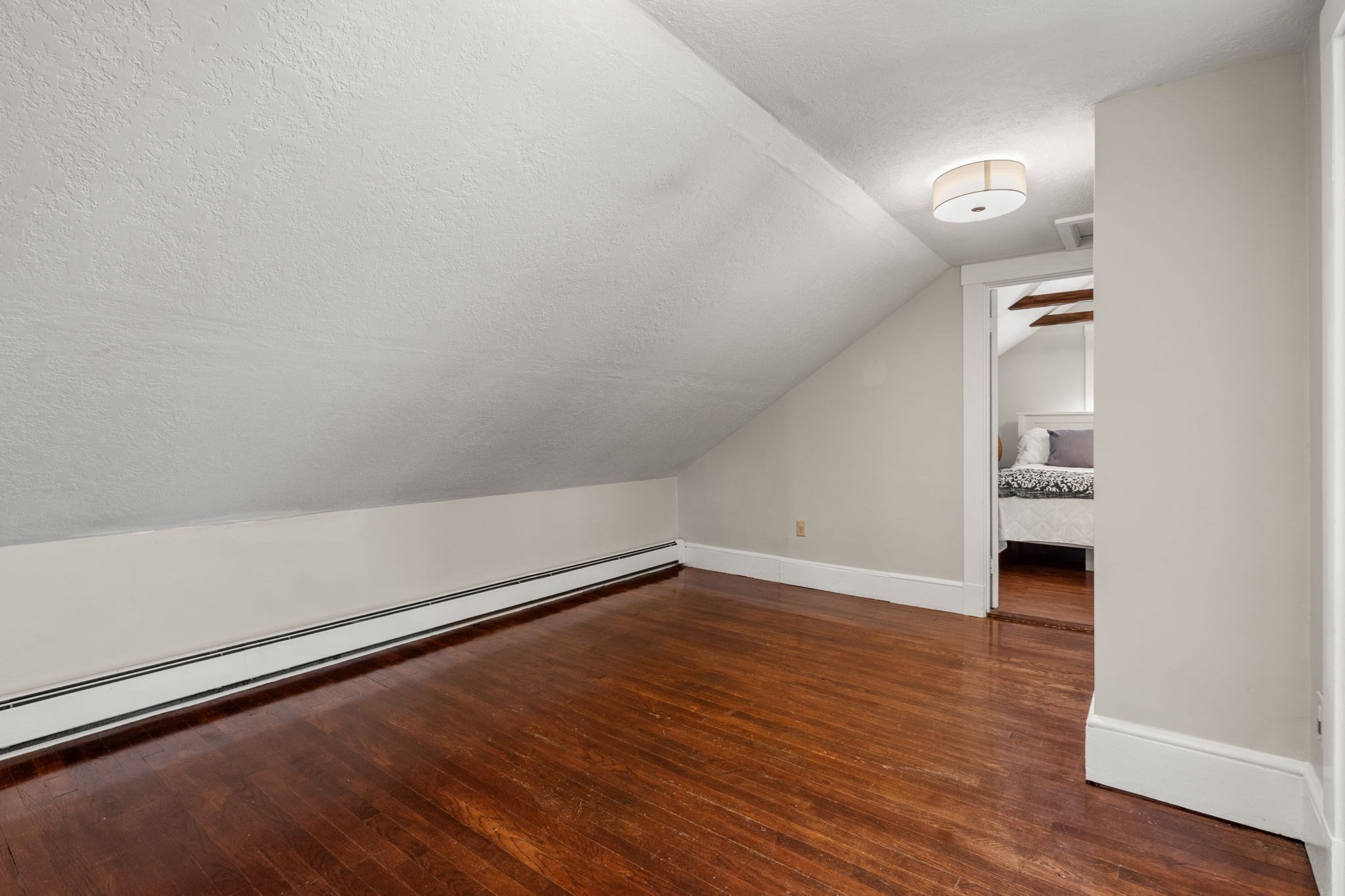 39 Dale Street Property Photo 19